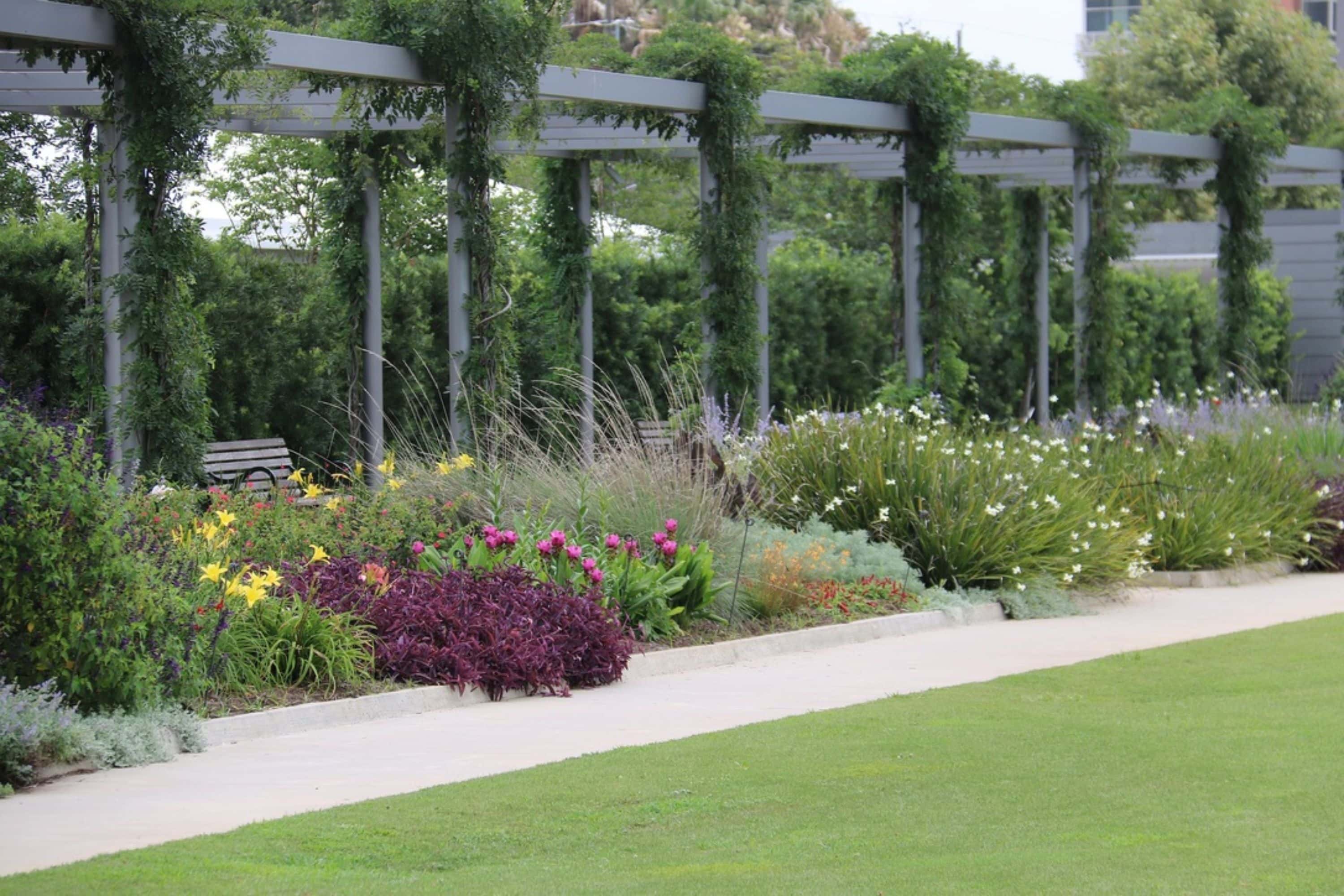 pergola met klimplanten